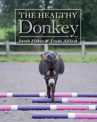 THE HEALTY DONKEY