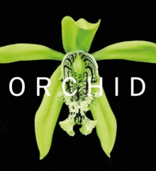 ORCHID