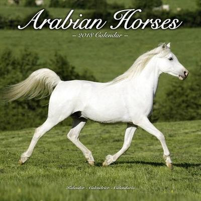 ARABIAN HORSES 2018