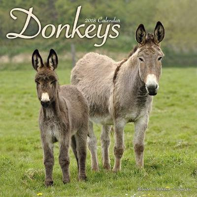 DONKEYS 2018