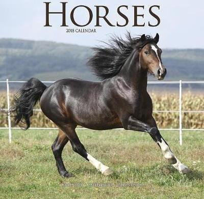 HORSES 2018
