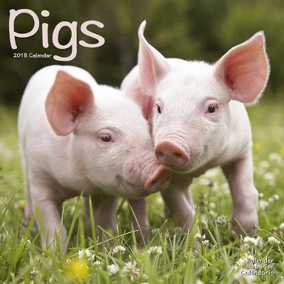 PIGS 2018 CALENDAR
