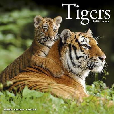 TIGERS 2018