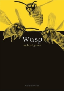 WASP