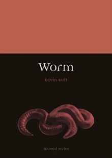WORM