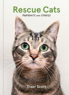 RESCUE CATS