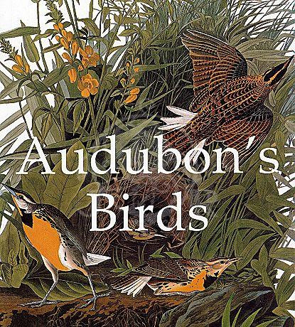 AUDUBON S BIRDS