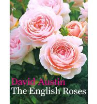 THE ENGLISH ROSES