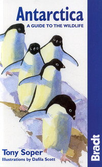 ANTARTICA