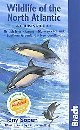 WILDLIFE OF THE NORTH ATLANTIC