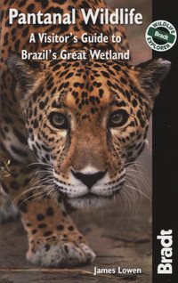 PANTANAL WILDLIFE