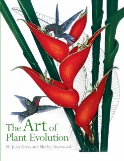 THE ART OF PLANT EVOLUTION