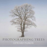 PHOTOGRAPHING TREES