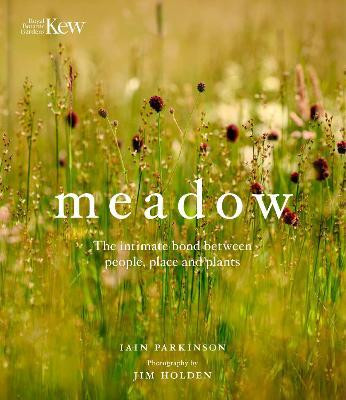 MEADOW