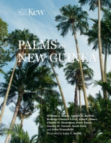 PALMS OF NEW GUINEA