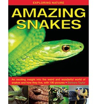 AMAZING SNAKES