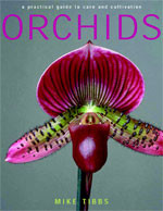 ORCHIDS