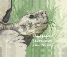 GALAPAGOS SKETCHBOOK