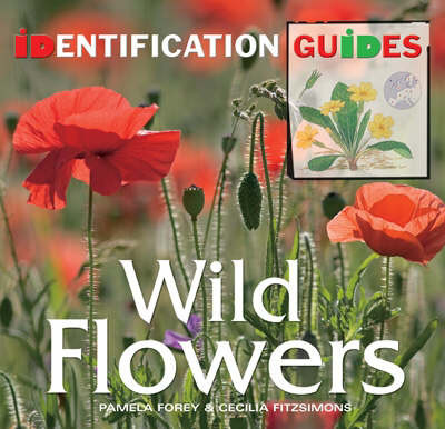 WILD FLOWERS IDENTIFICATION GUIDE