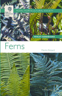 FERNS