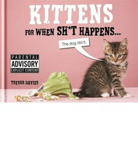 KITTENS FO WHEN SH*T HAPPENS...