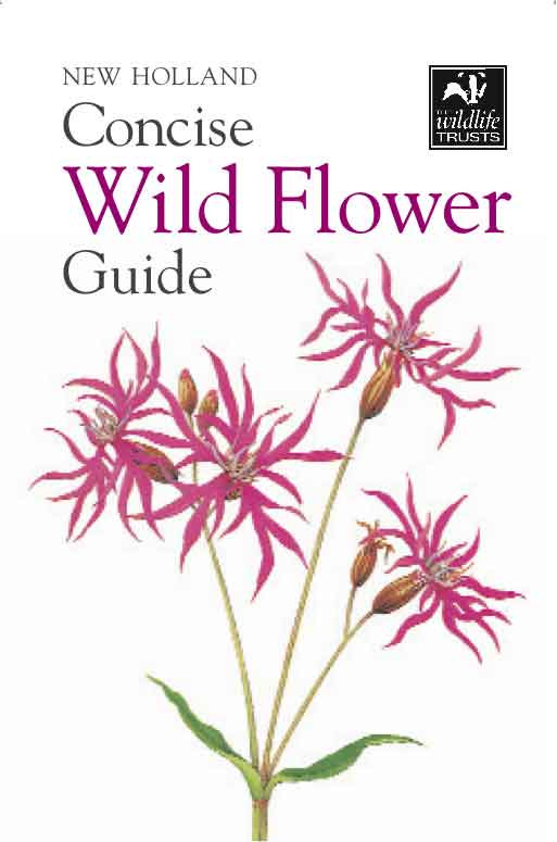 CONCISE WILD FLOWER GUIDE