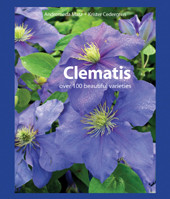 CLEMATIS