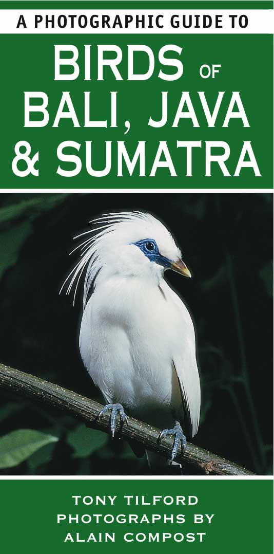 BIRDS OF BALI JAVA & SUMATRA