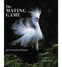 THE MATING LIVES OF BIRDS