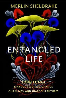 ENTANGLED LIFE