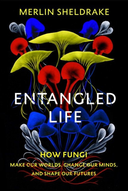 ENTANGLED LIFE