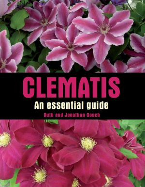 CLEMATIS