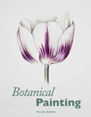 BOTANICAL PAINTING