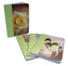 JANE PACKERPAPERBACK MINI NOTEBOOK