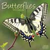 BUTTERFLIES 2014