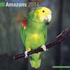 AMAZONS 2014