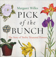 PICK OF THE BUNCH