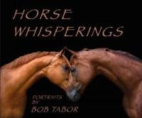 HORSE WHISPERINGS