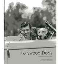 HOLLYWOOD DOGS