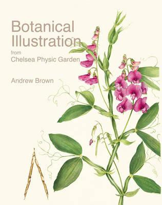 BOTANICAL ILLUSTRATION