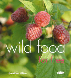 WILD FOOD FOR FREE