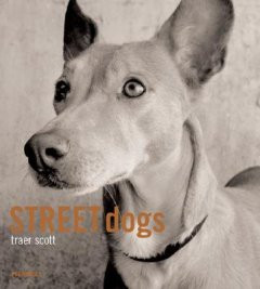 STREET DOGS