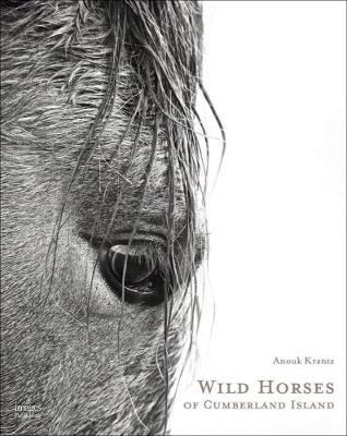 WILD HORSES OF CUMBERLAND ISLAND