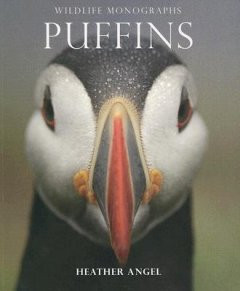 PUFFINS