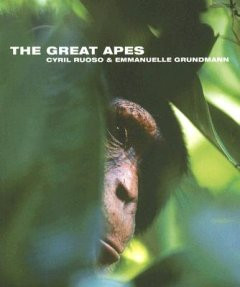 GREAT APES