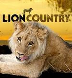 LION COUNTRY