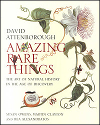 AMAZING RARE THINGS