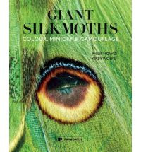 GIANT SILKMOTHS