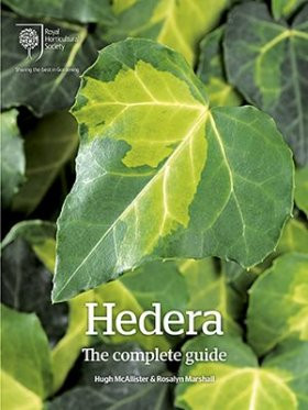 HEDERA THE COMPLETE GUIDE