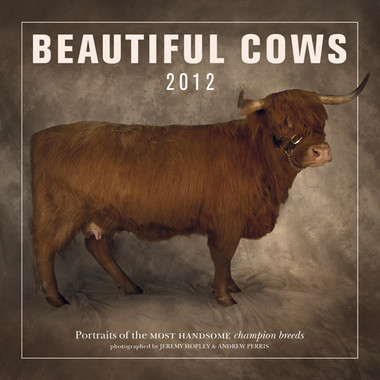BEAUTIFUL COWS 2012